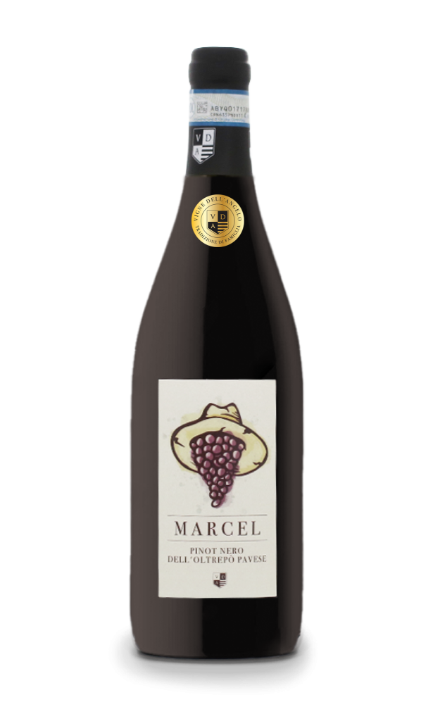 Homepage | Borgo dei Gatti - Shop