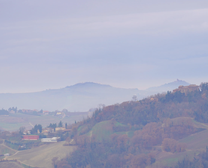 Homepage | Borgo dei Gatti - Shop